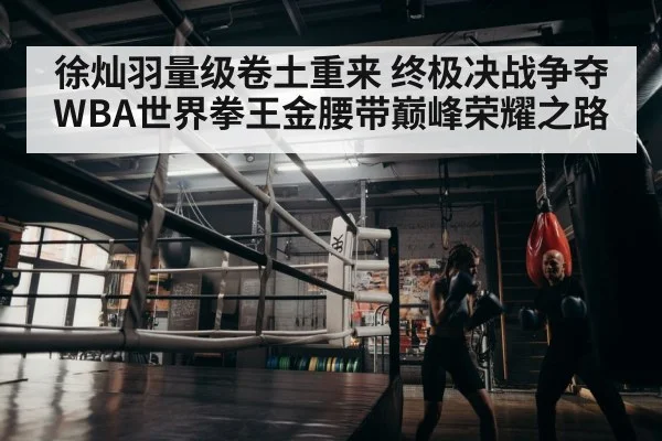 徐灿羽量级卷土重来 终极决战争夺WBA世界拳王金腰带巅峰荣耀之路